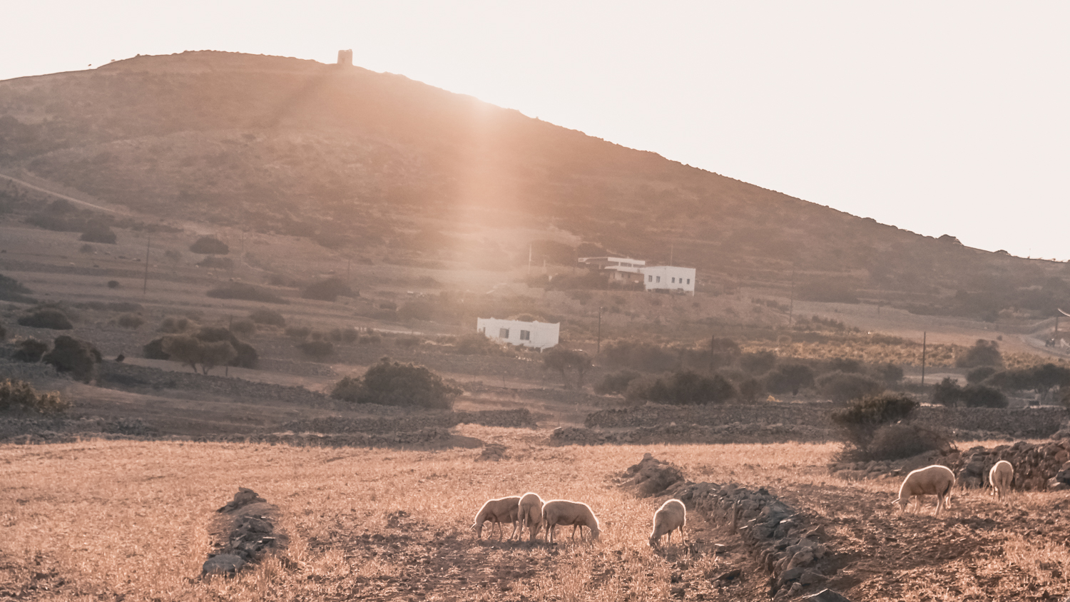 Schinoussa landscape
