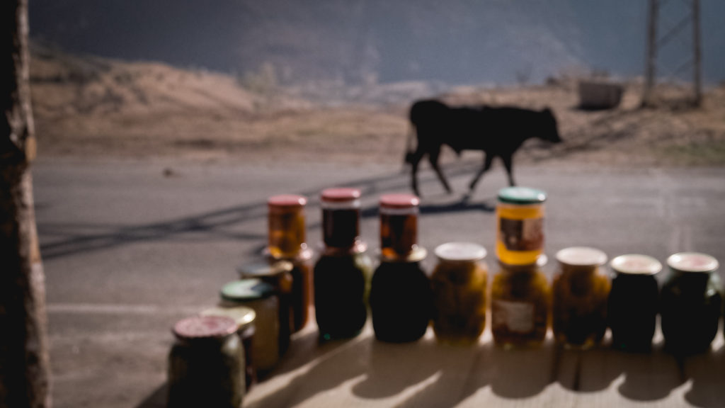 Travel & Street Photography Recap III Bull Armenia
