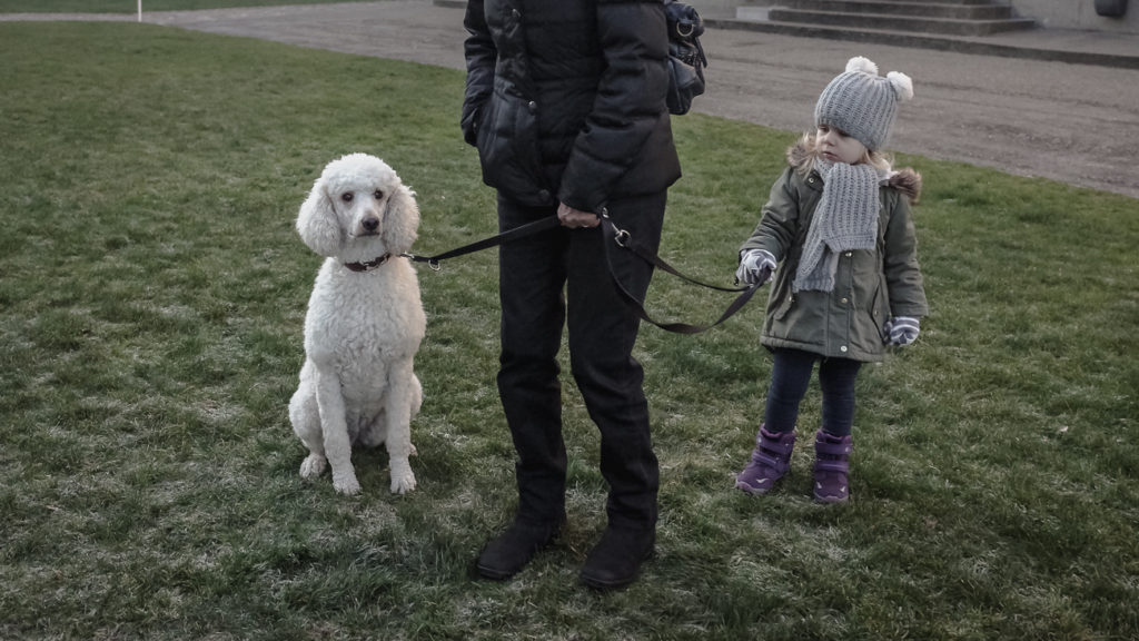 Travel & Street photography recap V A girl and a dog in Sankt Gallen