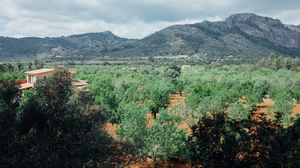 Typical View on the way to Sóller