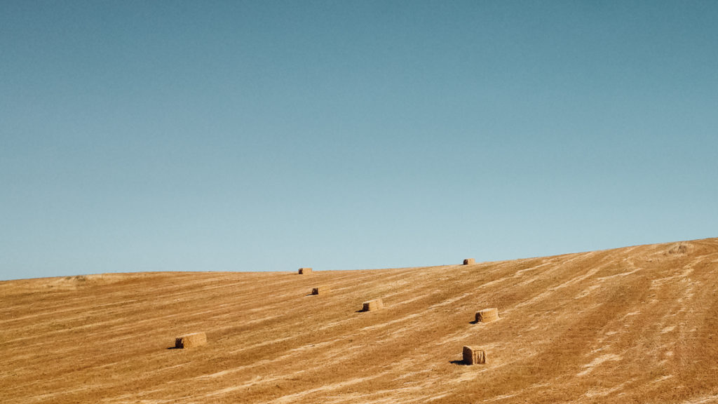 Travel summary 2019 Alentejo