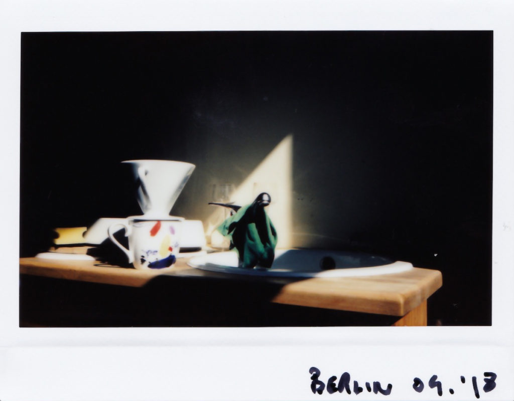 Berlin polaroid