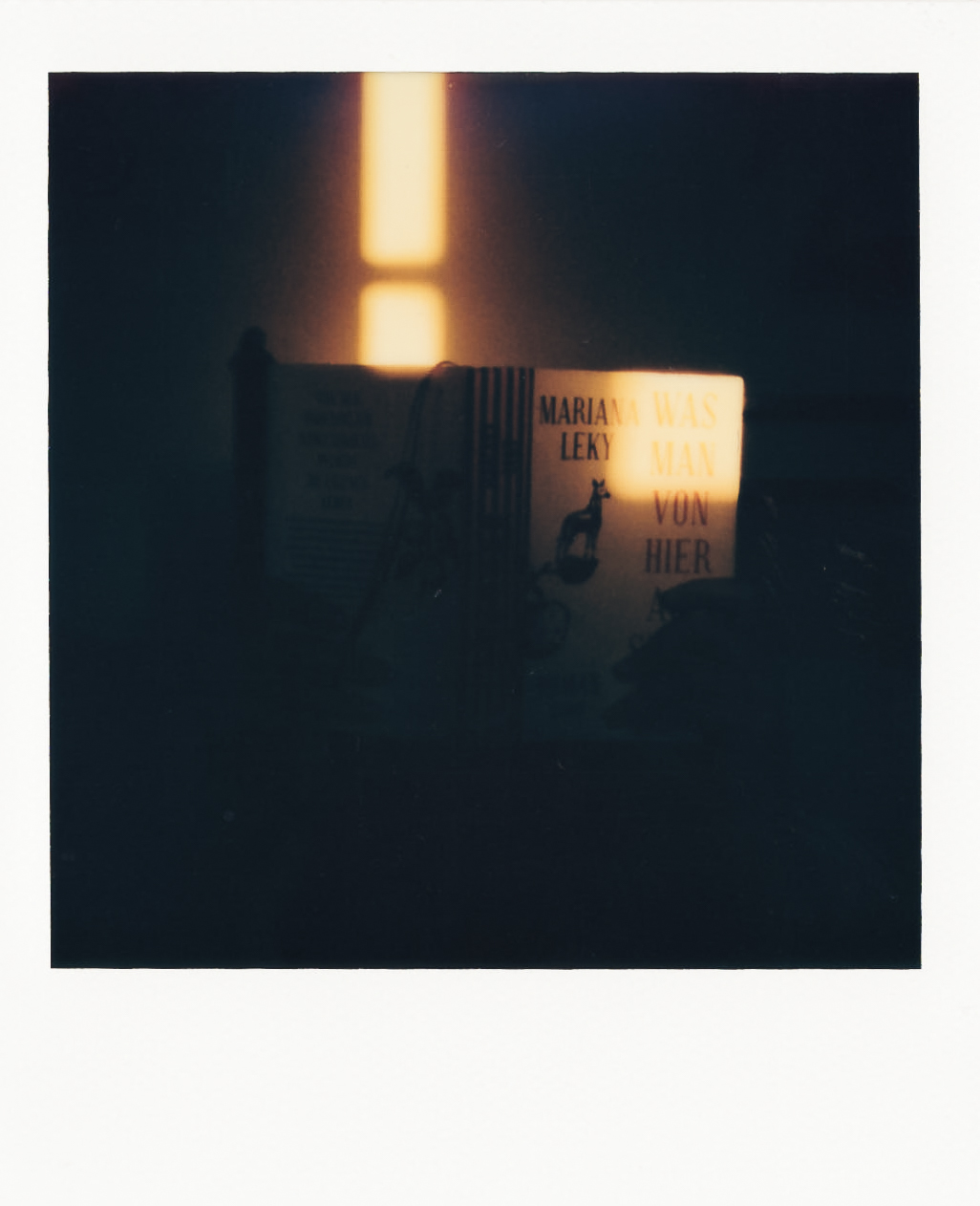 Polaroid Diaries: Anafi Barbara reading a book