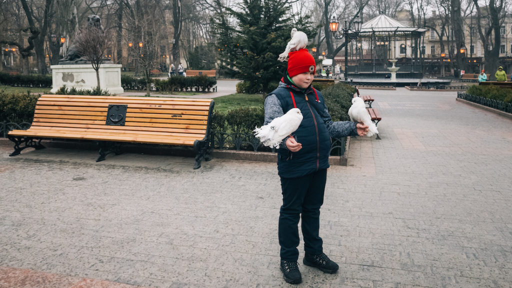 At Derybasivska Street Little guy and pigeons