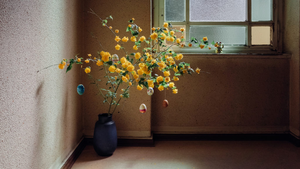 Easter Coronavirus Chronicles