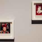 The Polaroid Diaries Linda McCartney 2