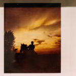Polaroid Diaries Linda McCartney