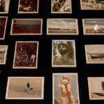 The Polaroid Diaries Linda McCartney polaroids