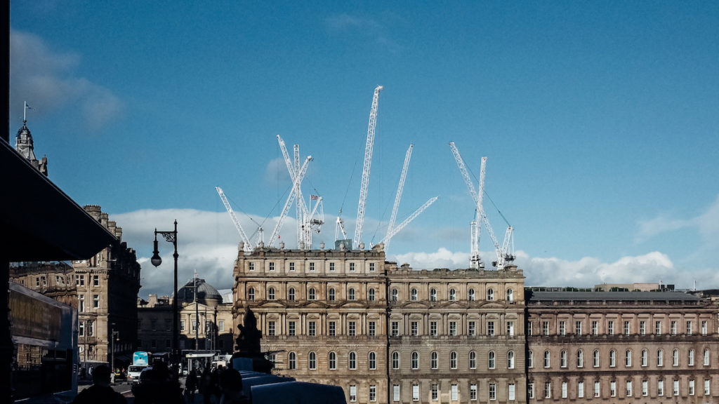 Giraffes Scotland