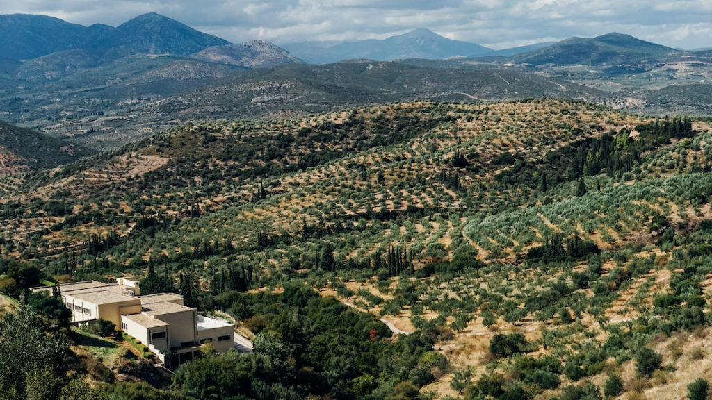 The Museum of Mycenae and the landscape around it
