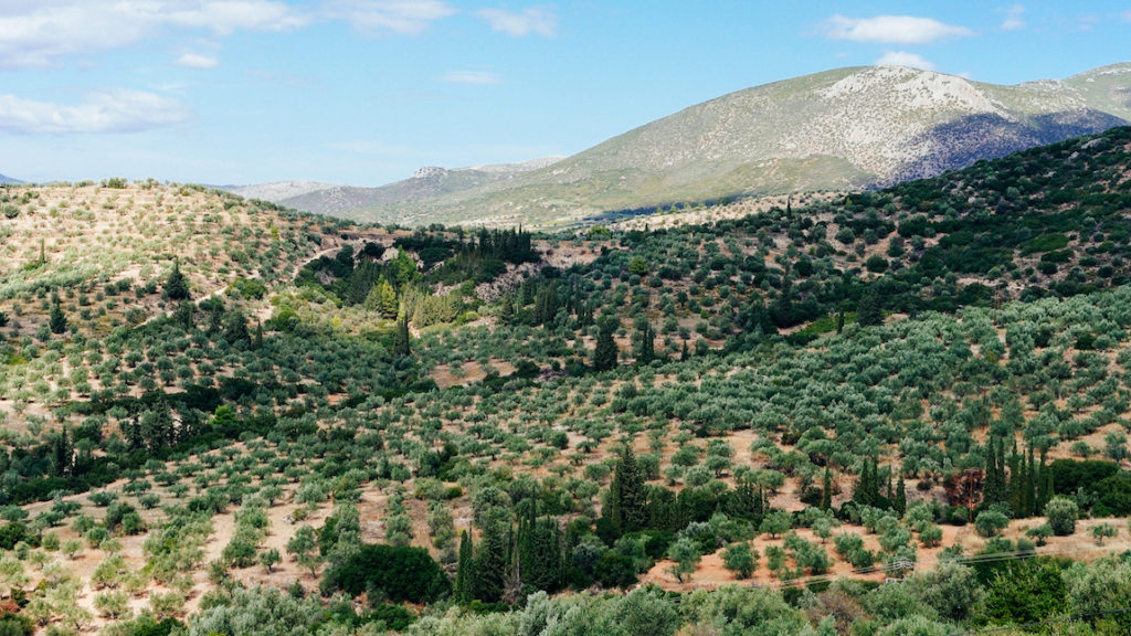 View of the landscape Argolis Greece