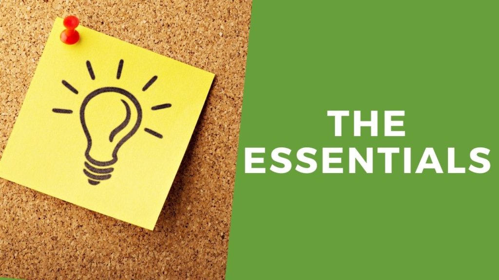 How much does it cost to start a blog Essentials hosting and theme