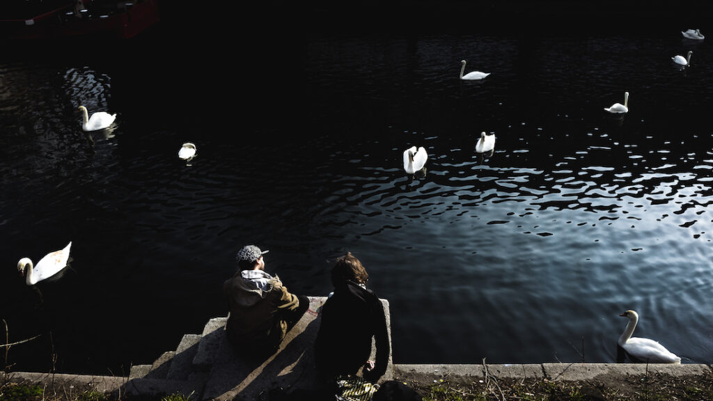 10 interesting facts about Berlin and where to stay River Spree swans