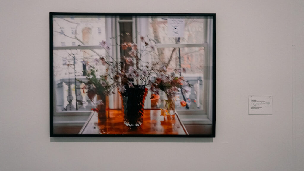 True Pictures Sprengel Museum Nan Goldin 1st days in quarantine