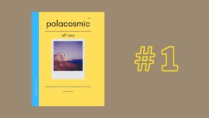 All I sea Polacosmic 1 Polaroid Zine cover