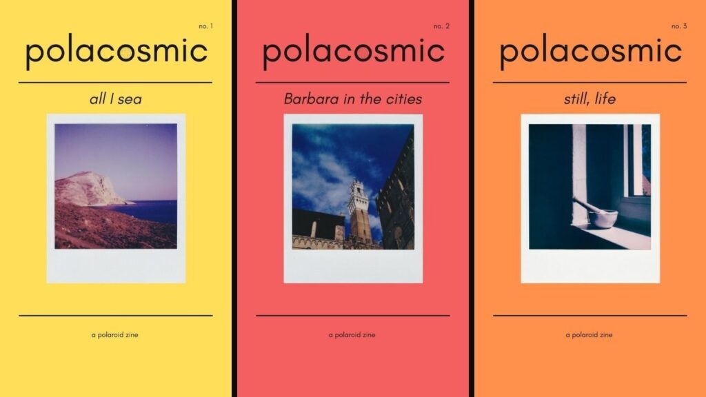 Polacosmic Polaroid zine all volumes cover
