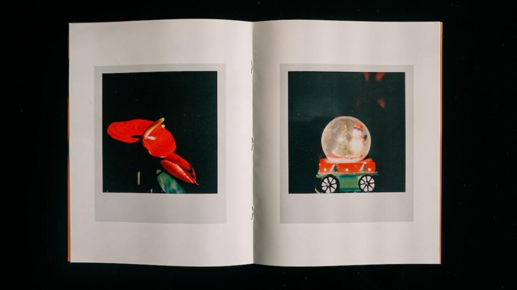 Still life detail polaroid zine polacosmic