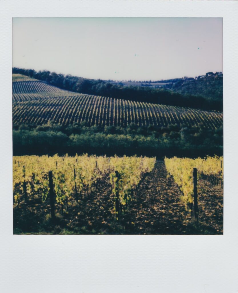 A Tuscan landscape shot with the Polaroid SX-70