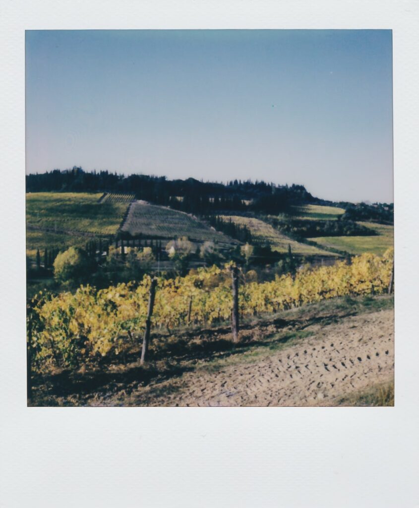 4th of July #70 (US Road trip Diary) - Polaroid, Landscape, US, Color