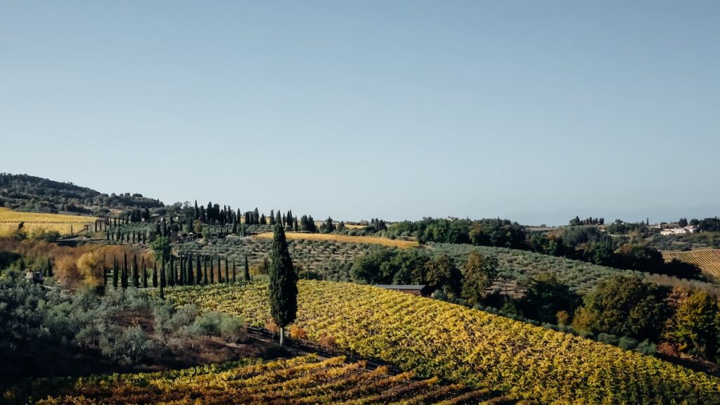 Tuscany road trip in Italy