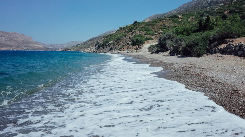 Plaka beach Tilos peacock