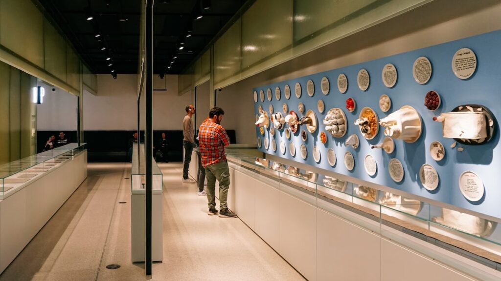 Various exhibits at Grimmwelt Kassel