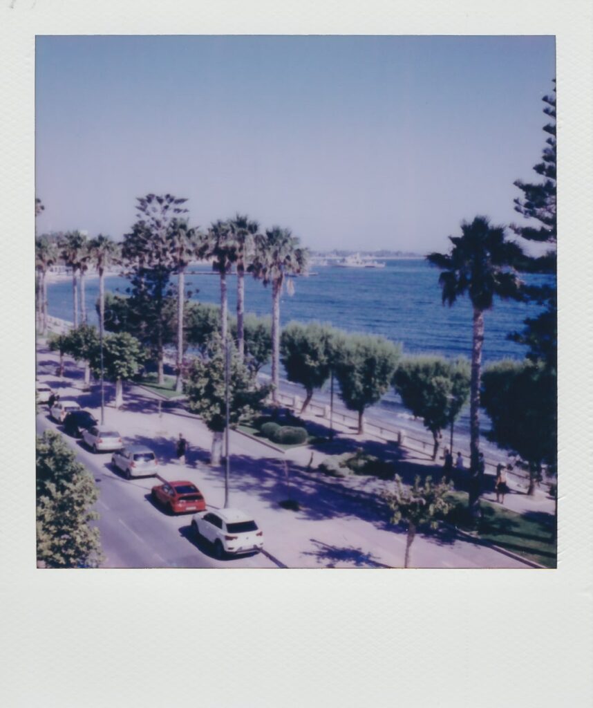 Polaroid Diaries: my first film with the SX-70 - Letters to Barbara