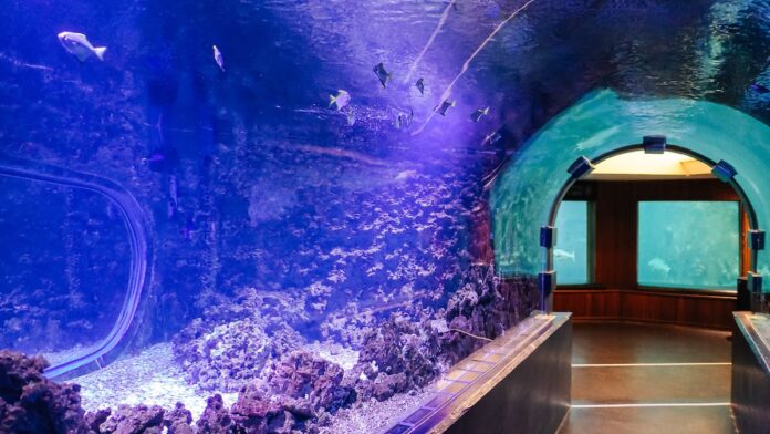 bergen-aquarium-stunning-fish-portraits-letters-to-barbara