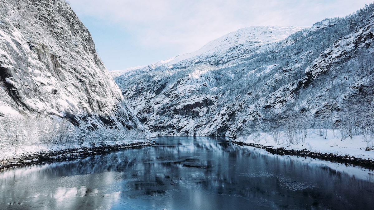 Mostraumen fjord cruise from Bergen: review, tips & how to book