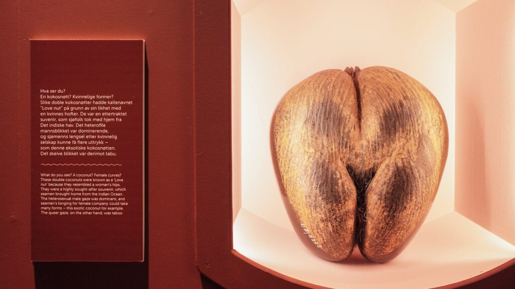 An image of a coconut resembling female curves displayed at the exhibition "Queer at Sea" at the Maritime Museum of Bergen