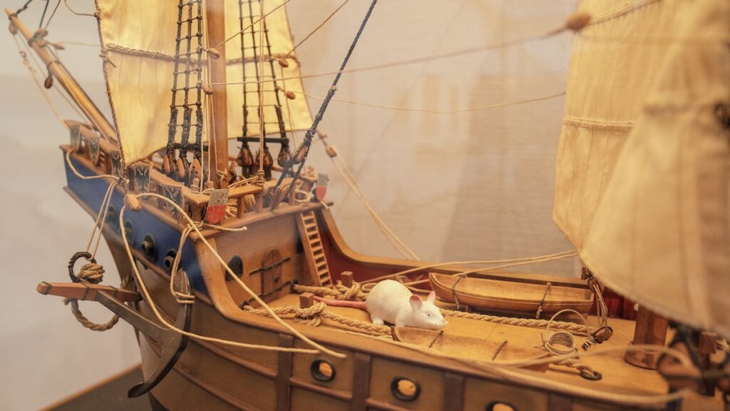 A miniature boat featuring a small rat on its deck. The vessel is presented at the Bergen Maritime Museum