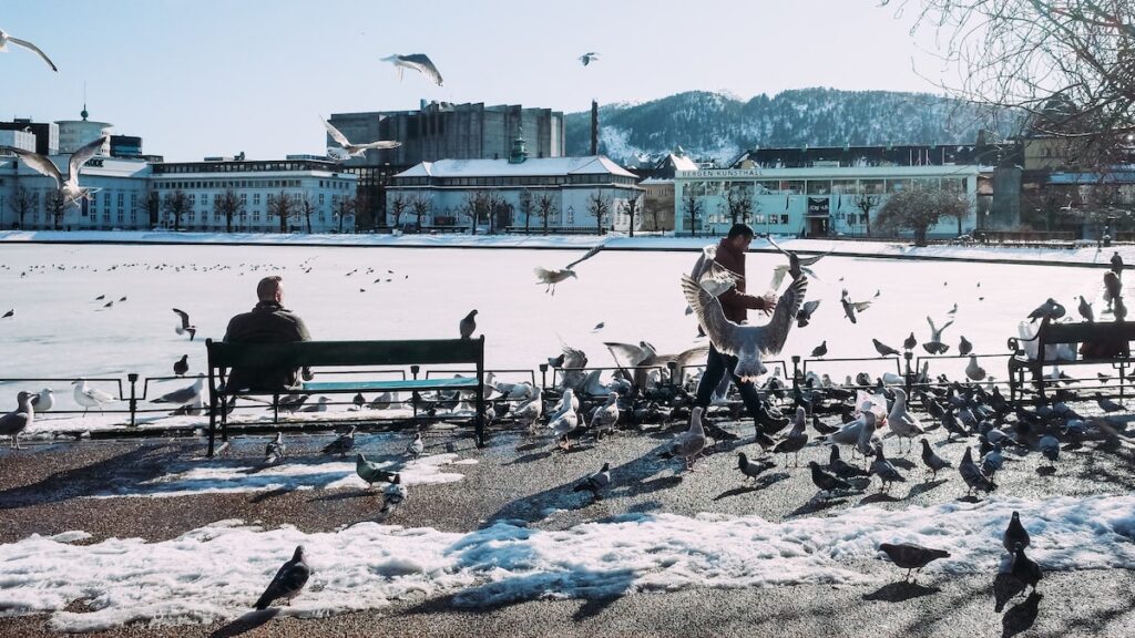 A man enjoying the view of the frozen lake in Bergen while seagulls fly around him
