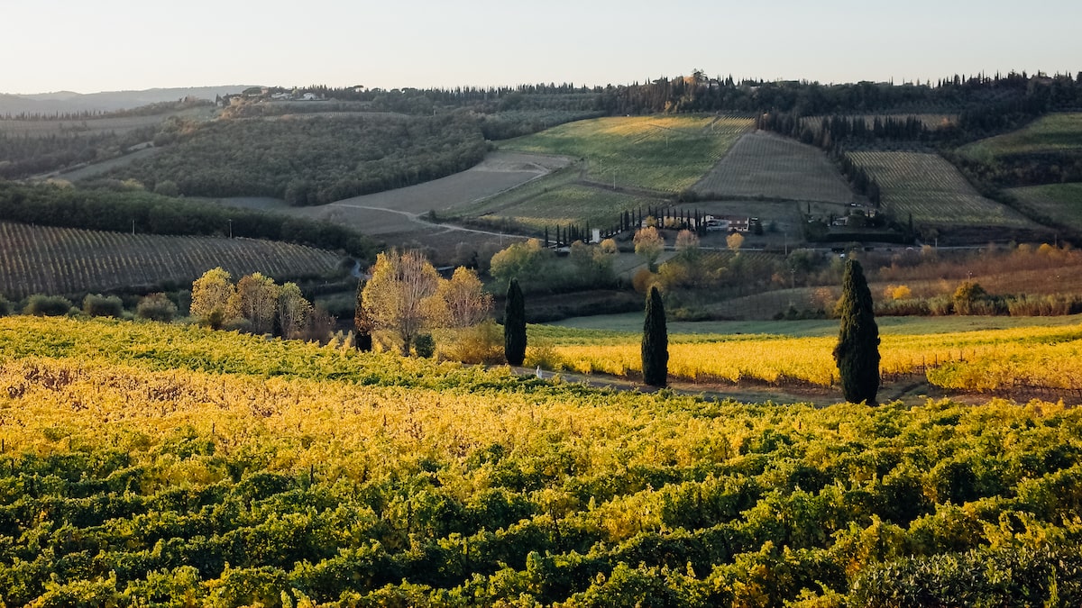 wine tours from florence to chianti