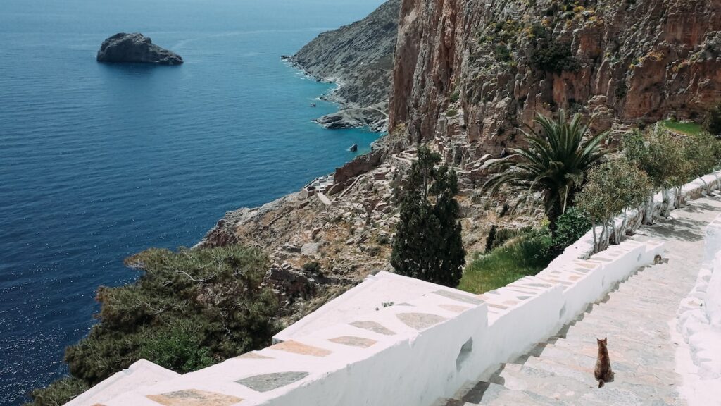 A cat enjoying the landscape outside of the Hozoviotissa Monastery in Amorgos