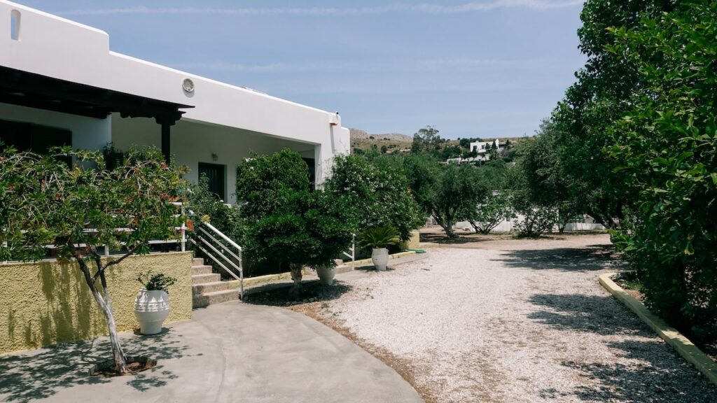 An image showing olive trees and houses from Eleonas Rooms in Alinda, one of the best accommodations in Leros, Greece.