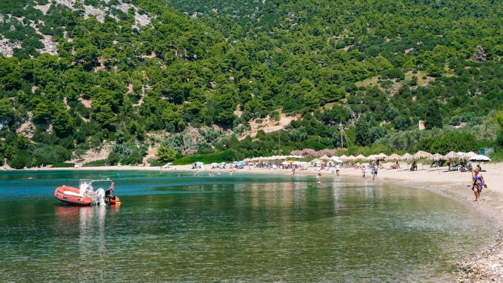 A photo of the Pefkos Beach, with the impressive combination of pine trees and sea in Skyros