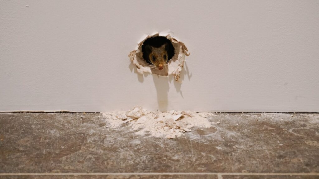 Animatronic Mouse/Sound