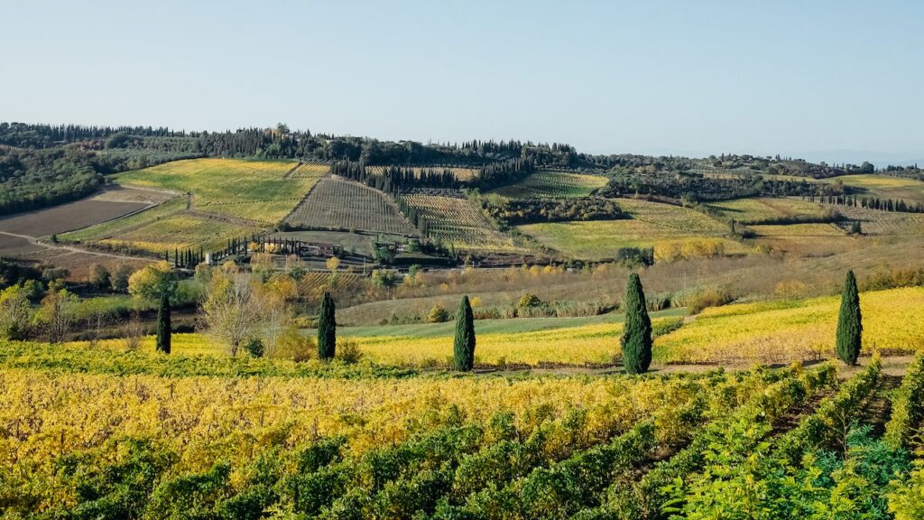 Chianti landscape during the wine tours from Siena
