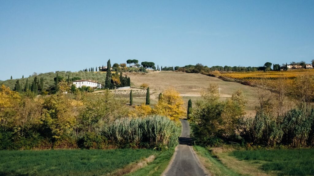 Vineyards and wine estates when traveling for a Siena wine tour