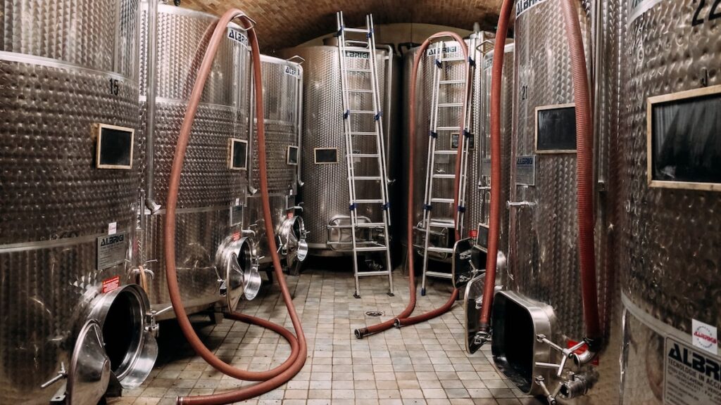 Wine production in Siena