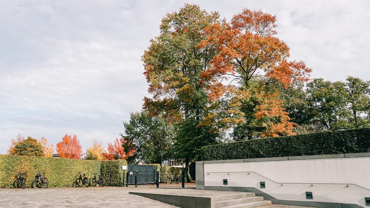 The premises of Draiflessen Collection in Mettingen, Germany