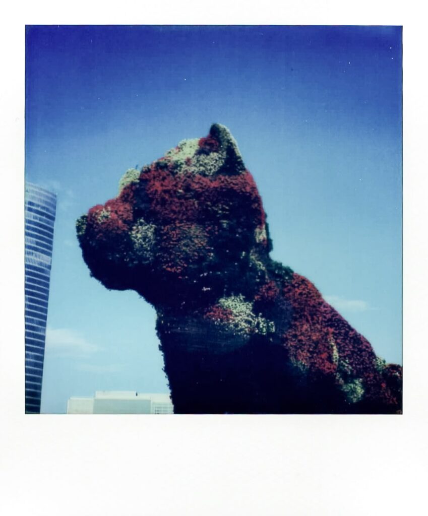 Jeff Koons Puppy at the Basque Country with the Polaroid SX-70