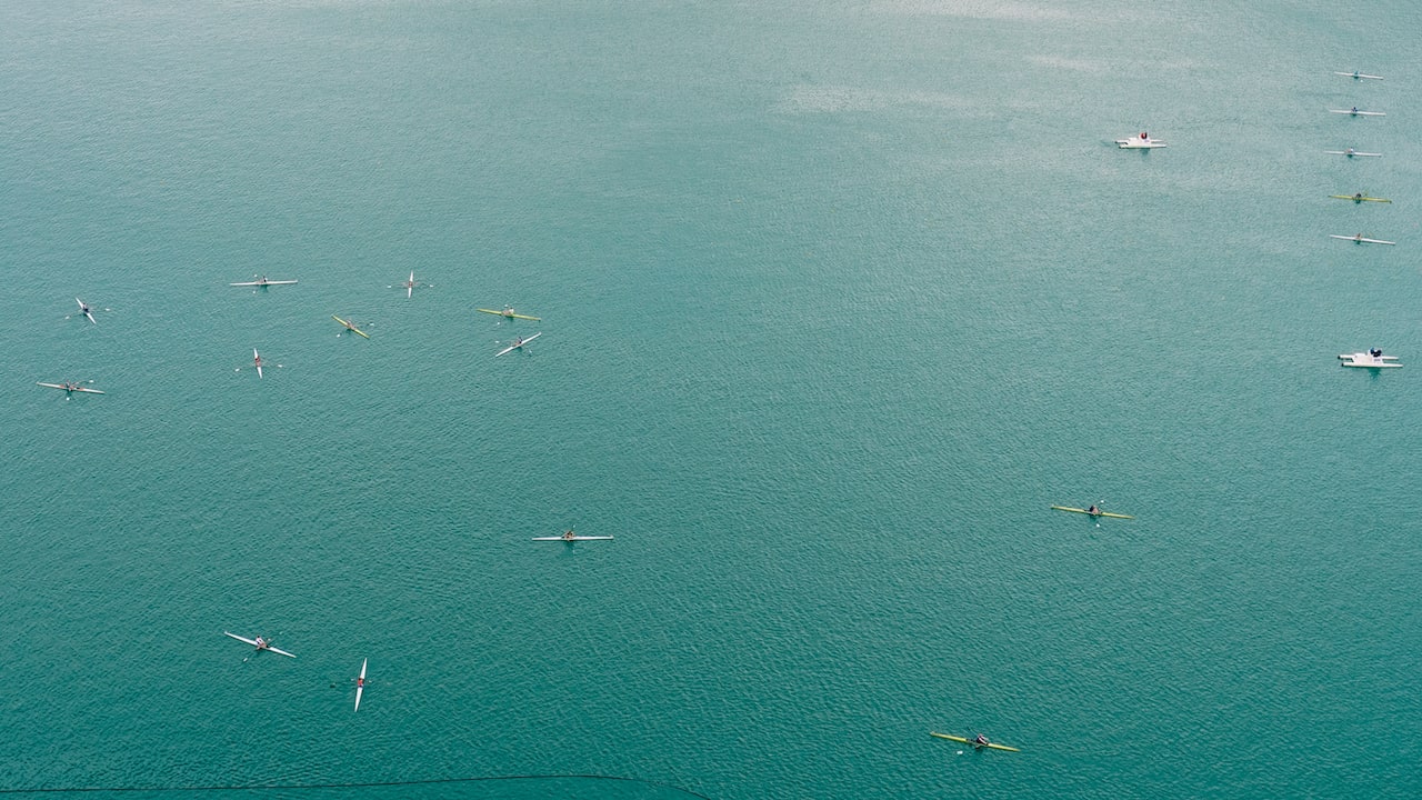 A rowing tournament at Slovenia's Bled Lake