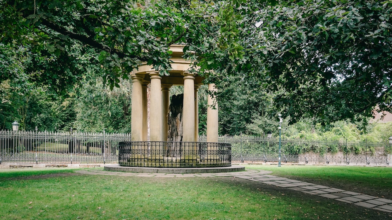 The Tree of Gernika