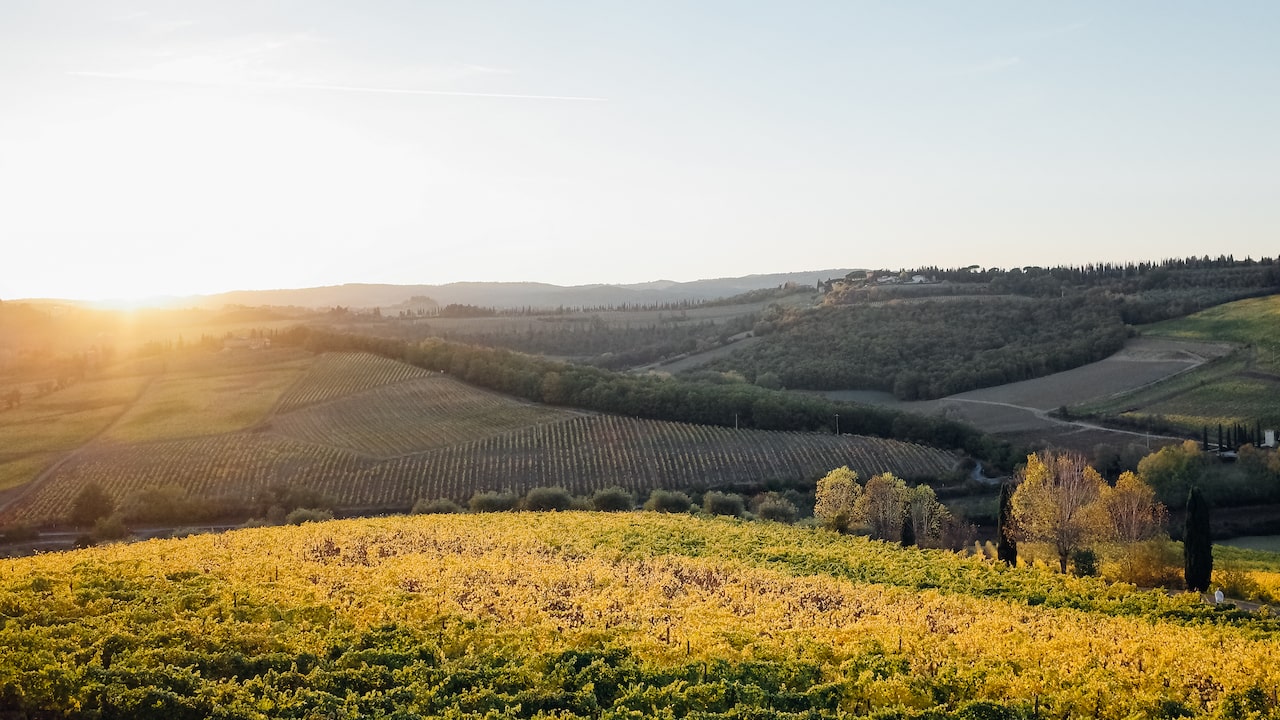 Sunset over the fields of Tuscany