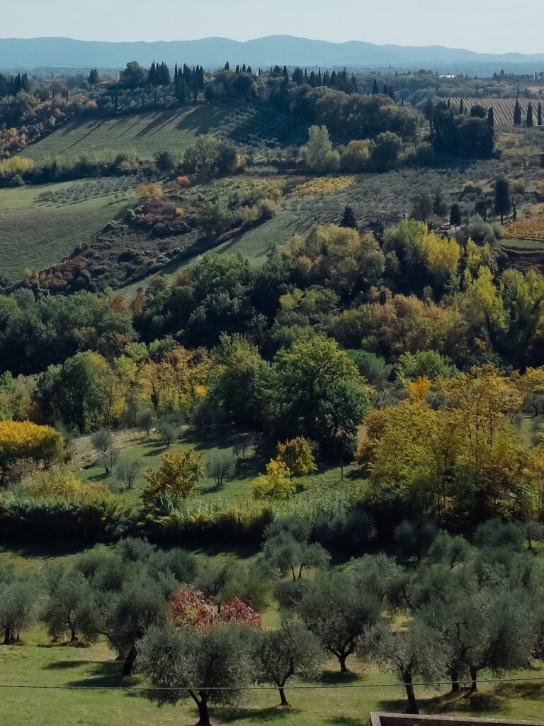 Tuscany landscape