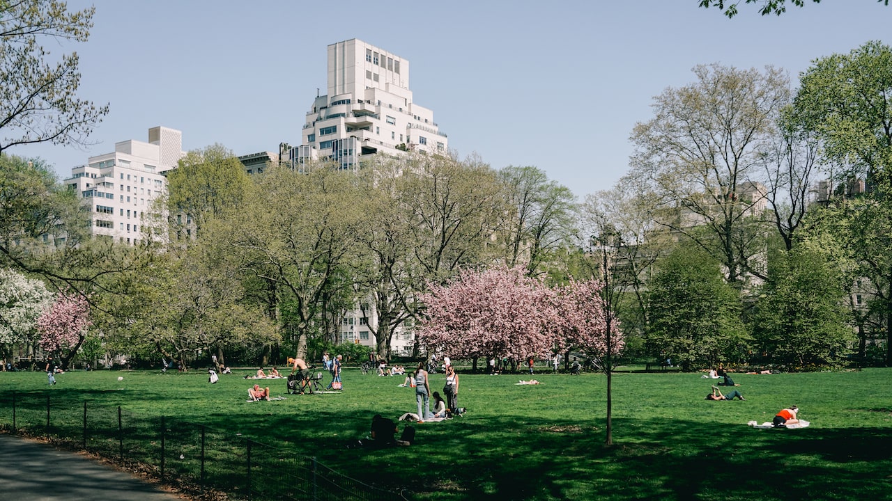 The Central Park in NYC is a must-see for your first trip to New York