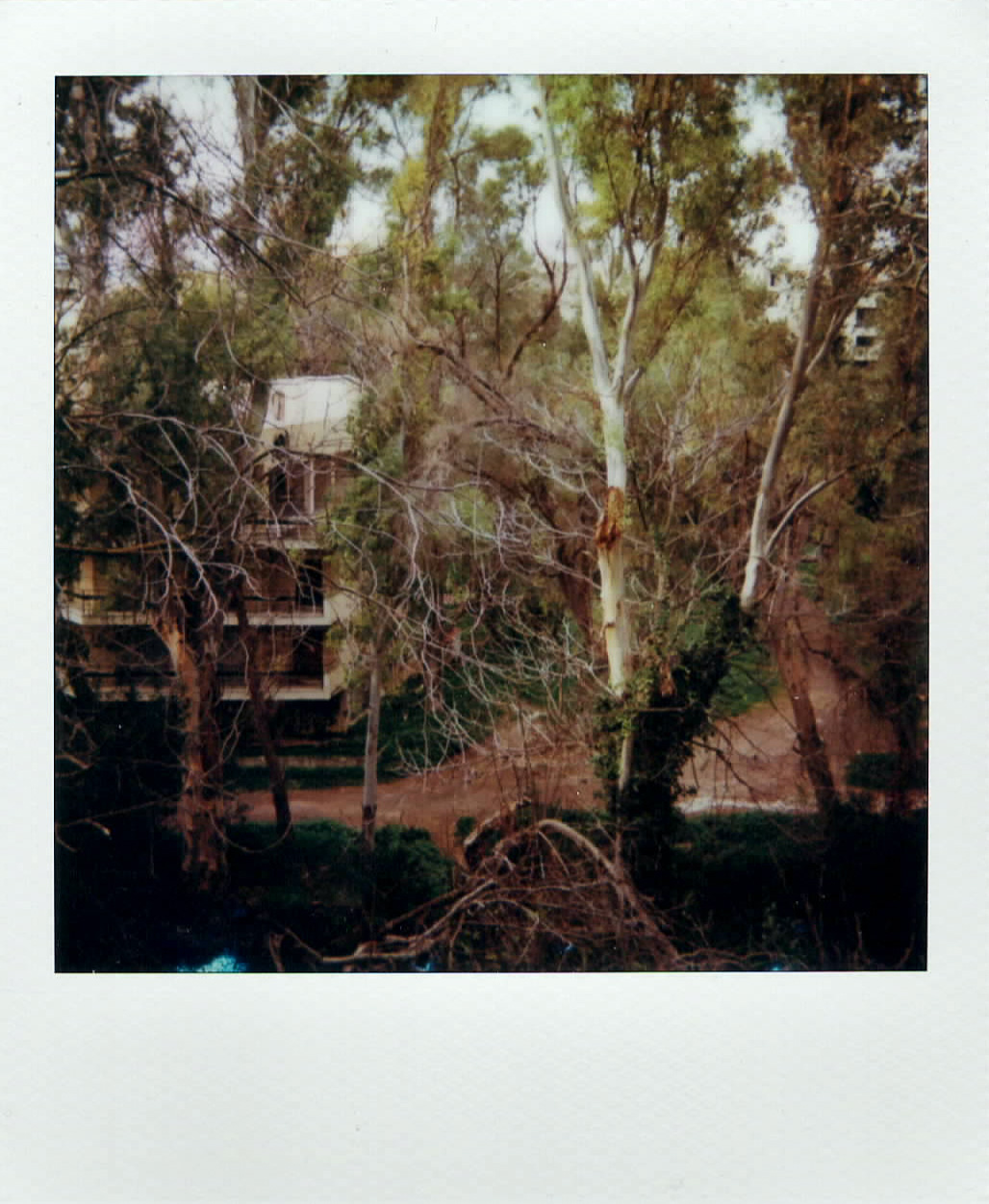 A polaroid photo of a ravine in Athens taken with Impulse AF