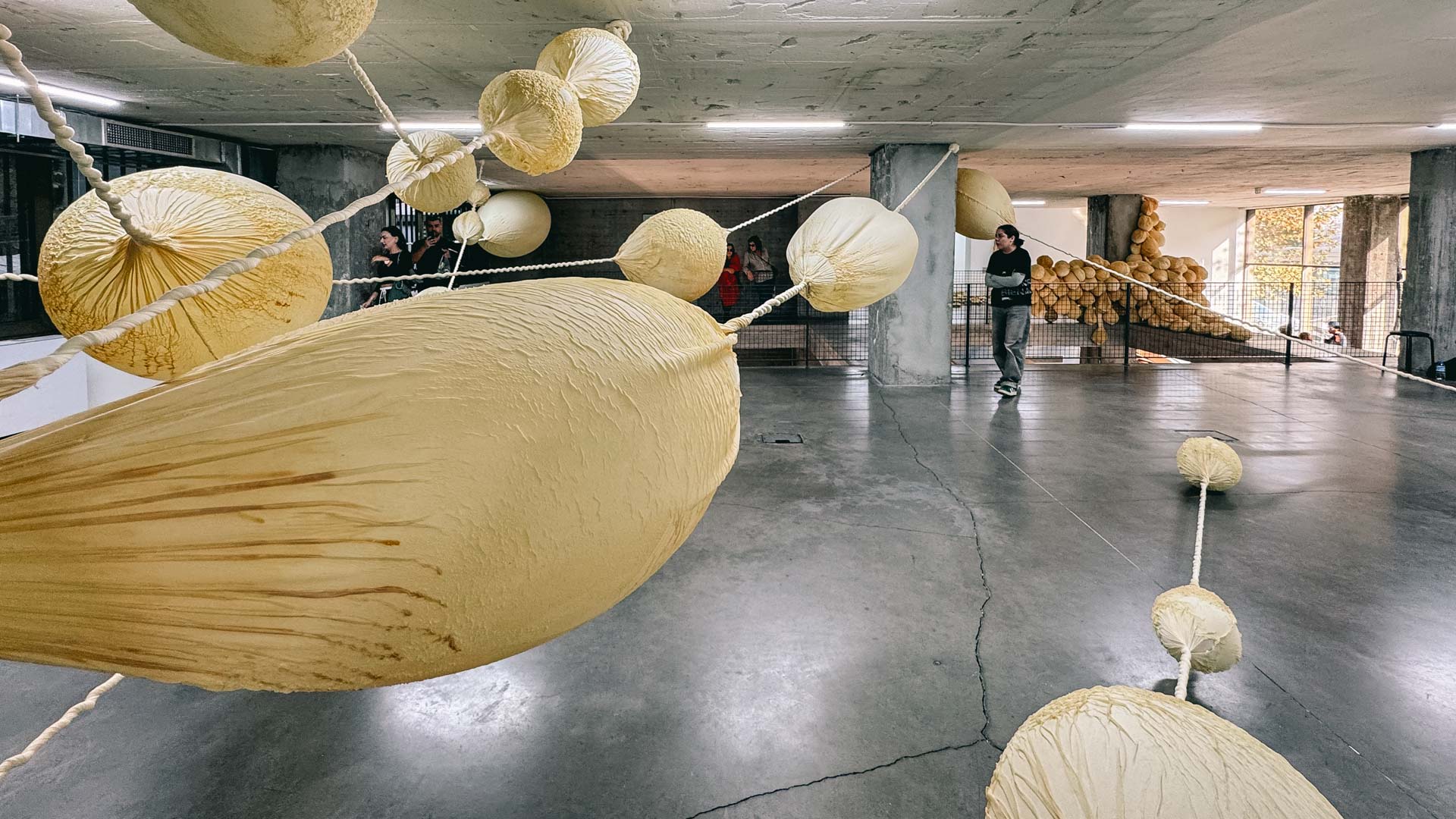 Eva Fabregas Exudates Istanbul Biennial