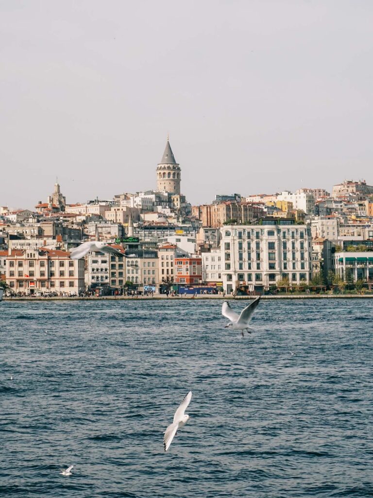 Seagulls flying over Bosporus in Istanbul and the Galata Tower behind them